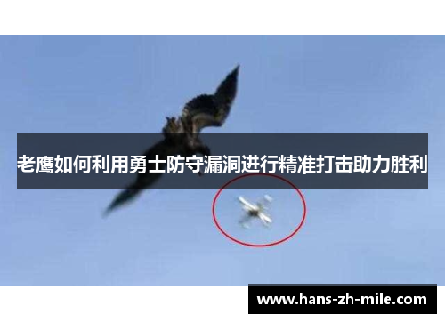 老鹰如何利用勇士防守漏洞进行精准打击助力胜利