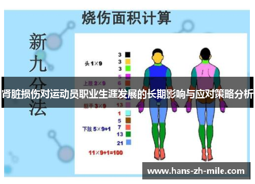 肾脏损伤对运动员职业生涯发展的长期影响与应对策略分析