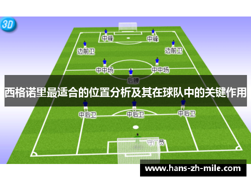 西格诺里最适合的位置分析及其在球队中的关键作用