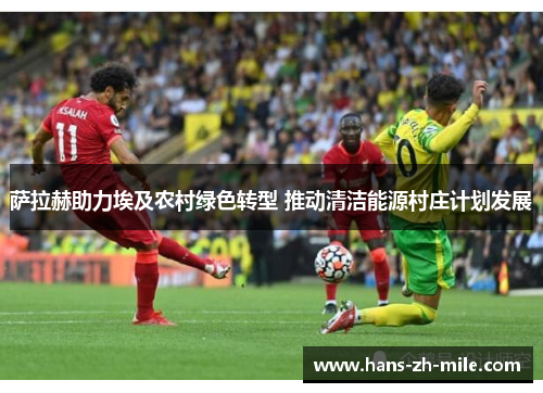萨拉赫助力埃及农村绿色转型 推动清洁能源村庄计划发展