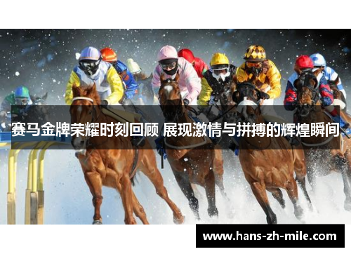 赛马金牌荣耀时刻回顾 展现激情与拼搏的辉煌瞬间