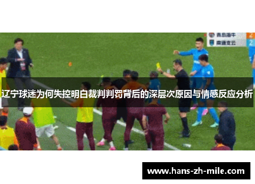 辽宁球迷为何失控明白裁判判罚背后的深层次原因与情感反应分析
