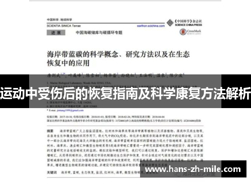 运动中受伤后的恢复指南及科学康复方法解析