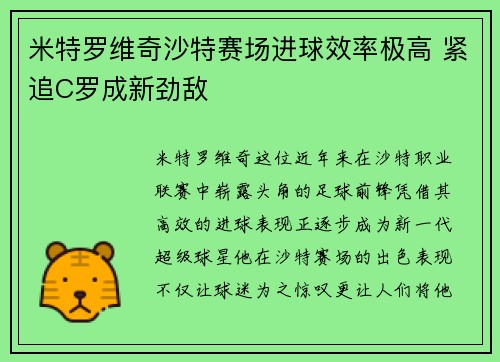 米特罗维奇沙特赛场进球效率极高 紧追C罗成新劲敌